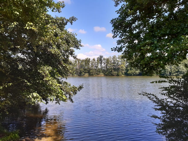 Großer Zabelsdorfer Stich