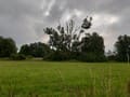 Landschaft in den Mildenberger Tonstichen