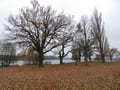 Lehnitzsee