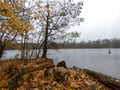 Lehnitzsee im November