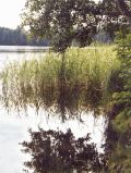 Summter See