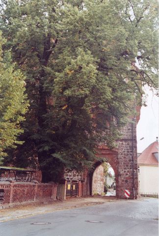 Burg Freyenstein