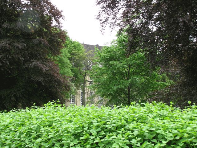 Schloss Ganz