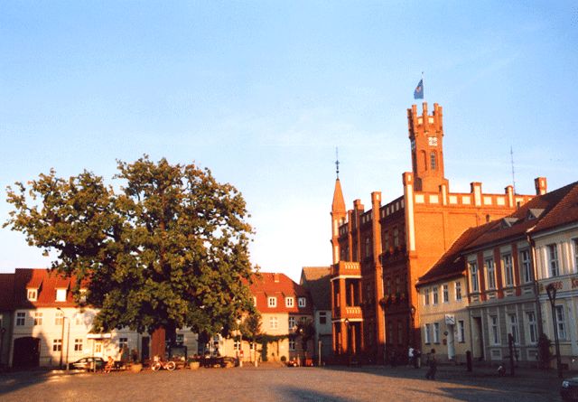 Rathaus mit Friedenseiche