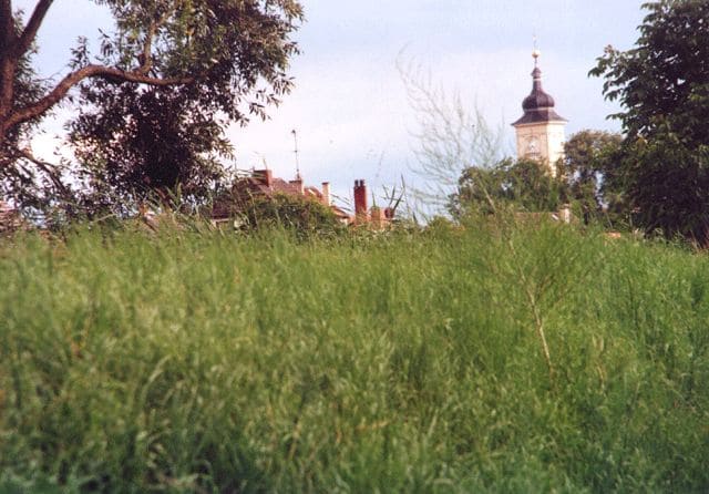 Blick zur Stadtkirche