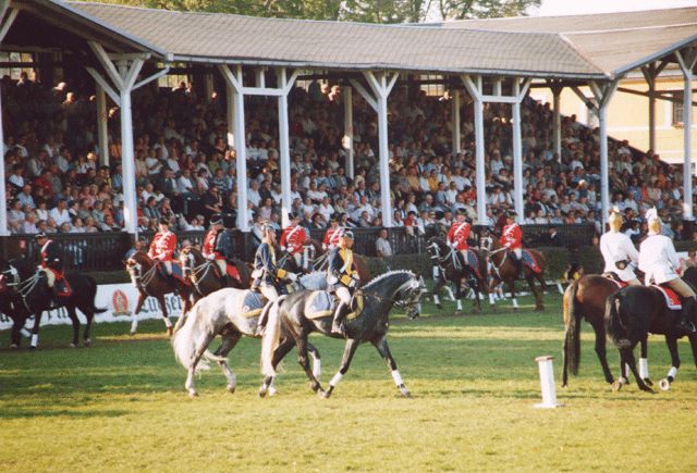 Hengstparade 2003