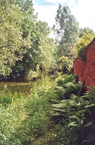 Rhin Nähe Wassermühle