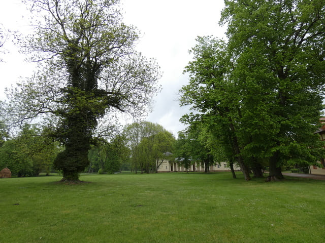Schlosspark mit Blick zur Orangerie