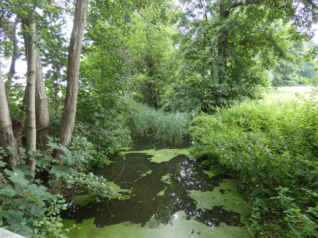 Holzwiesengraben