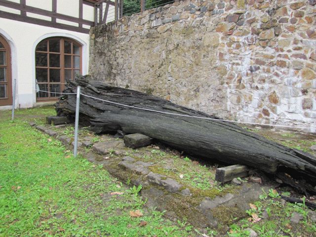 Schloss, Eichenstamm - ältester Nachweis der Holzbearbeitung