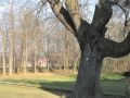 Schlosspark mit Pavillon