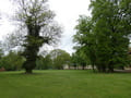 Schlosspark mit Blick zur Orangerie