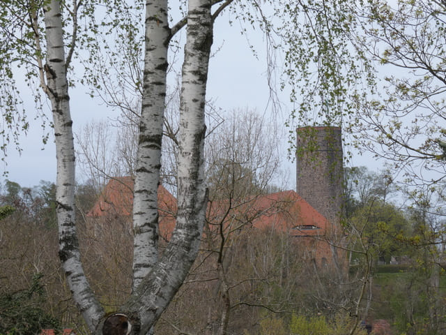 Blick zur Burg Eisenhardt