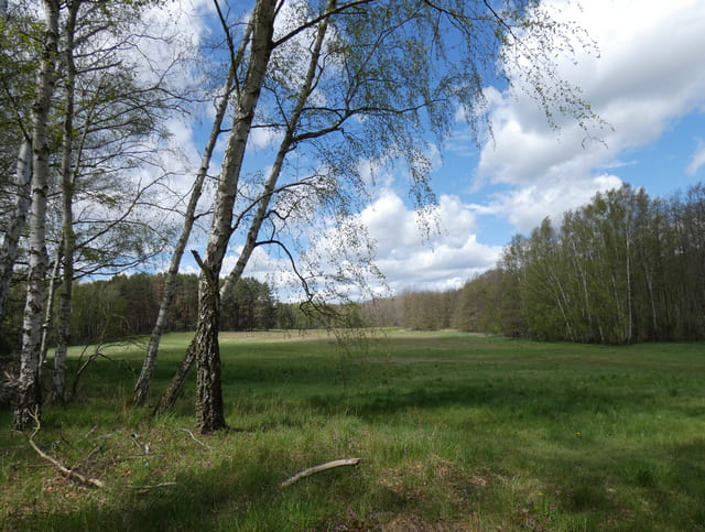 Landschaft am Mühlenweg