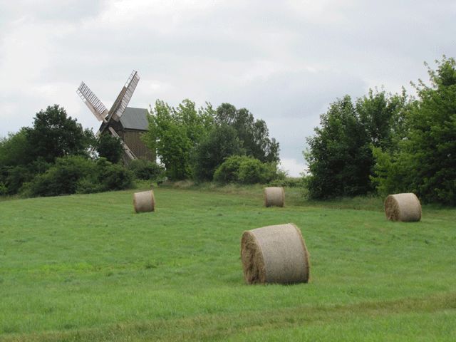Borner Mühle