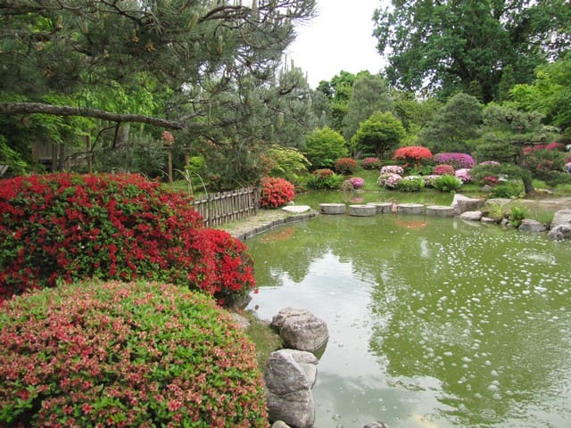 Japanischer Bonsaigarten