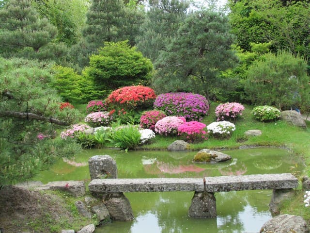 Japanischer Bonsaigarten