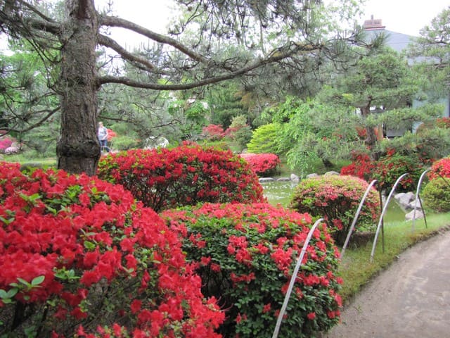 Japanischer Bonsaigarten