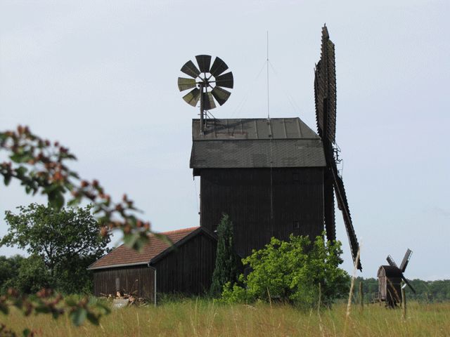 Paltrock- und Bockwindmühle (Miniaturmühle)