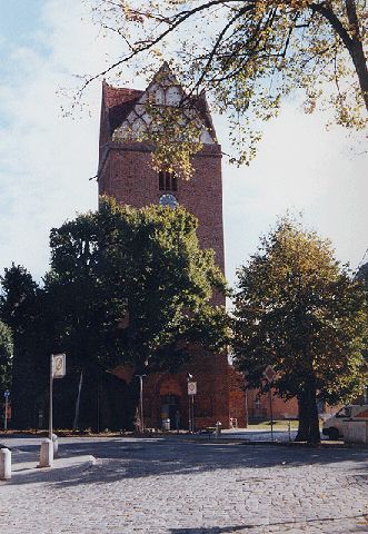 St. Marienkirche mit Lutherlinde