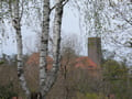 Blick zur Burg Eisenhardt