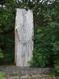Skulpturenpark am Klostersee - Installation am Wald