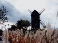 Bockwindmühle Werder