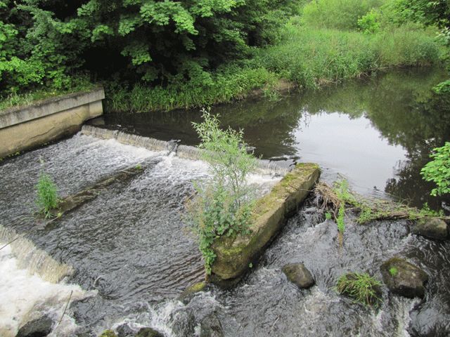 Die Stepenitz an der Mühle