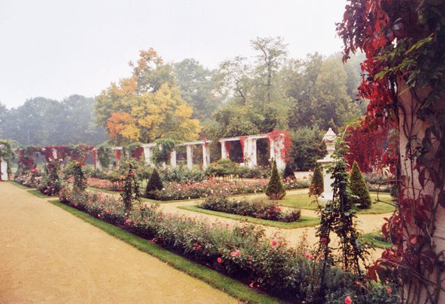 Rosengarten
