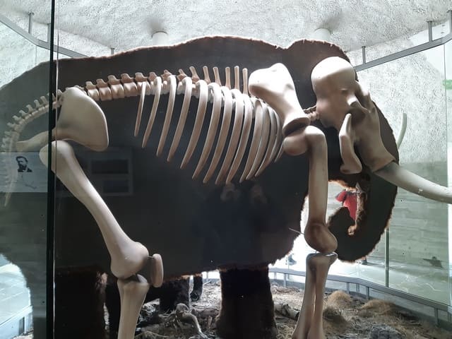 Freilichtmuseum "Zeitsprung", Mammut-Nachbildung