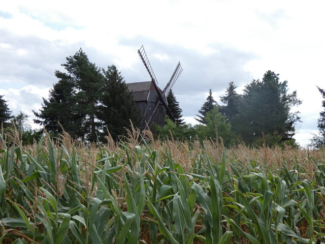 Bockwindmühle Wahlsdorf