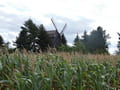 Bockwindmühle Wahlsdorf