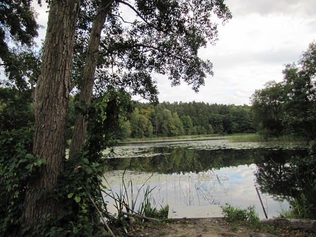 Mühlenteich an der Glambecker Mühle