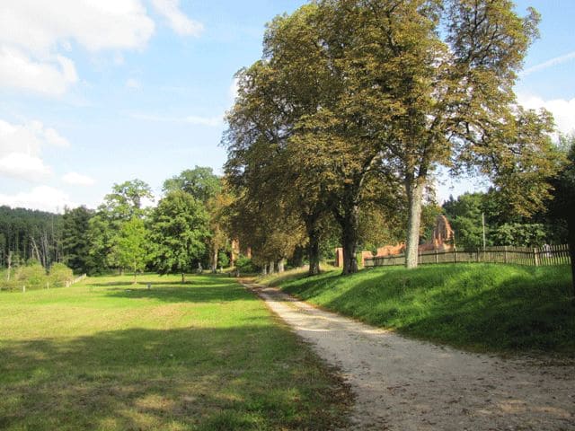 Weg zum Kloster Marienpforte