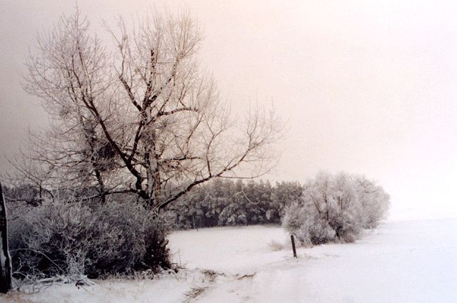 Winter in der Uckermark