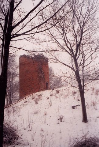 Burgruine Greiffenberg, Teil des Bergfrieds