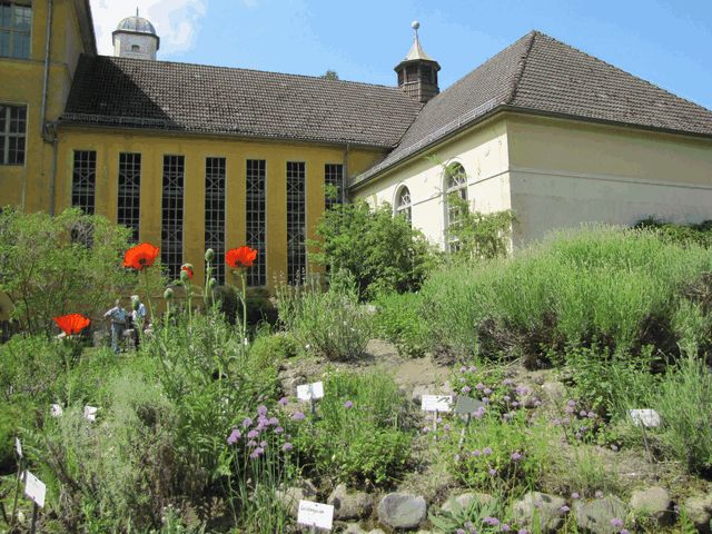 Lehmann-Garten am Joachimsthaler Gymnasium
