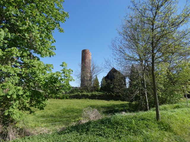 Burgruine Vierraden