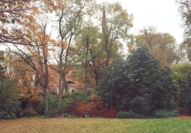 Blick zur Kirche