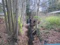 Mühlenbach an der Kolbatzer Mühle