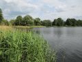 Düstersee in Temmen