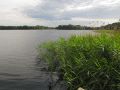 Düstersee in Temmen