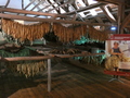 Tabakmuseum