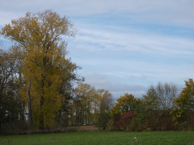 Landschaft zwischen Kiebitzsee und Blumberg