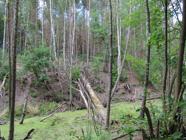 Nettelgraben