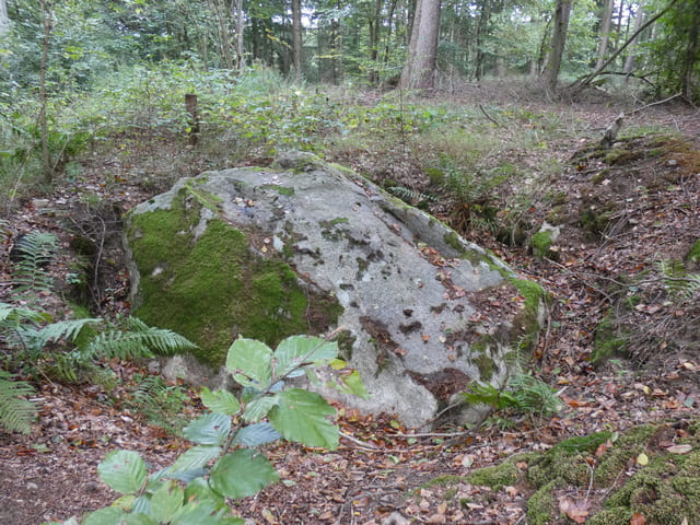 NSG Plagefenn, Naturdenkmal "Klosterstein"