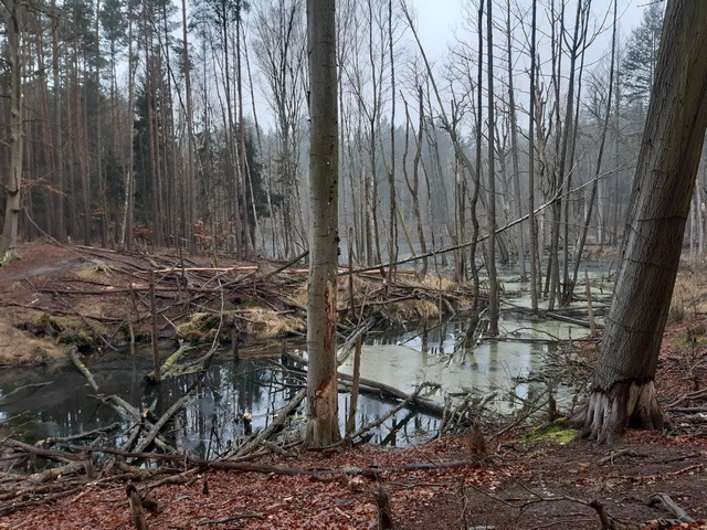 Schwärze