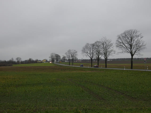 Ahrensfelder Chaussee mit Blick Richtung Ahrensfelde