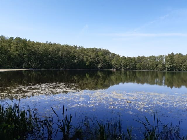 Heilige drei Pfühle