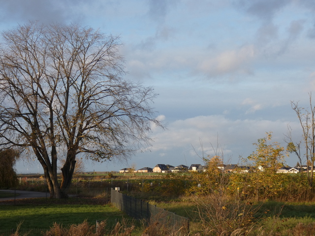 Ausblick vom Bahnhof Werneuchen